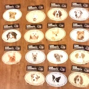 Pet car magnets please read description